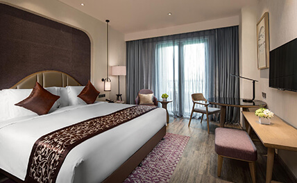 硅藻泥的好處：為寵物家庭營造更健康的生活環境